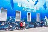 越前松島水族館