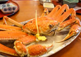 食処 えちぜん