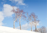 北海道SNOW