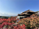 京都の紅葉