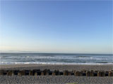 海