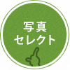 3.写真のセレクト